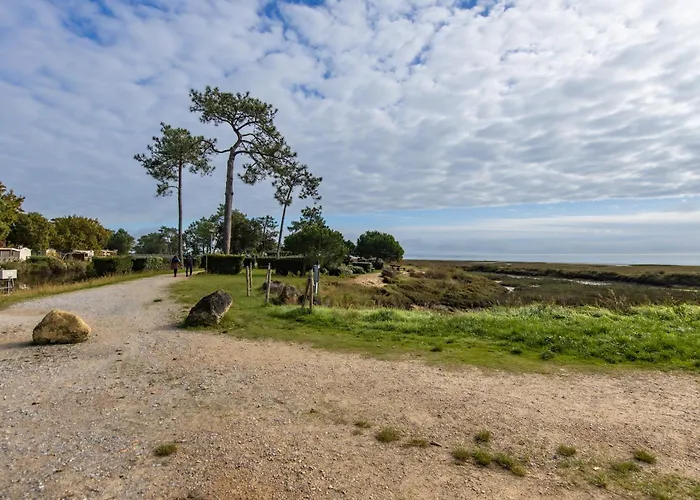 Campingplads Mobil Amira 42m2 4*